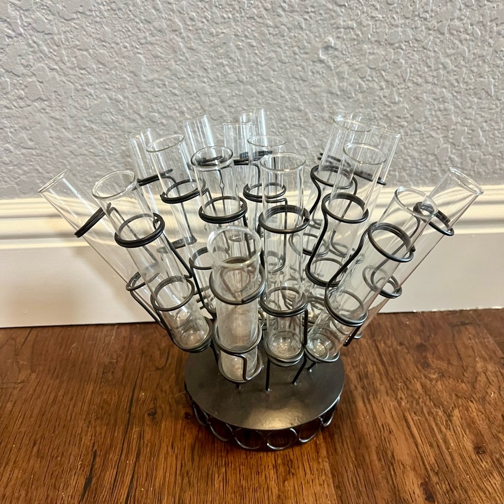 Clear 17 Glass Test Tube Vase Holder